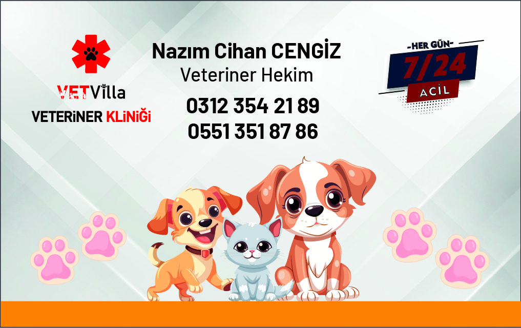 Ankara Matbaa, Matbaa Ankara, Ankara'da Matbaa