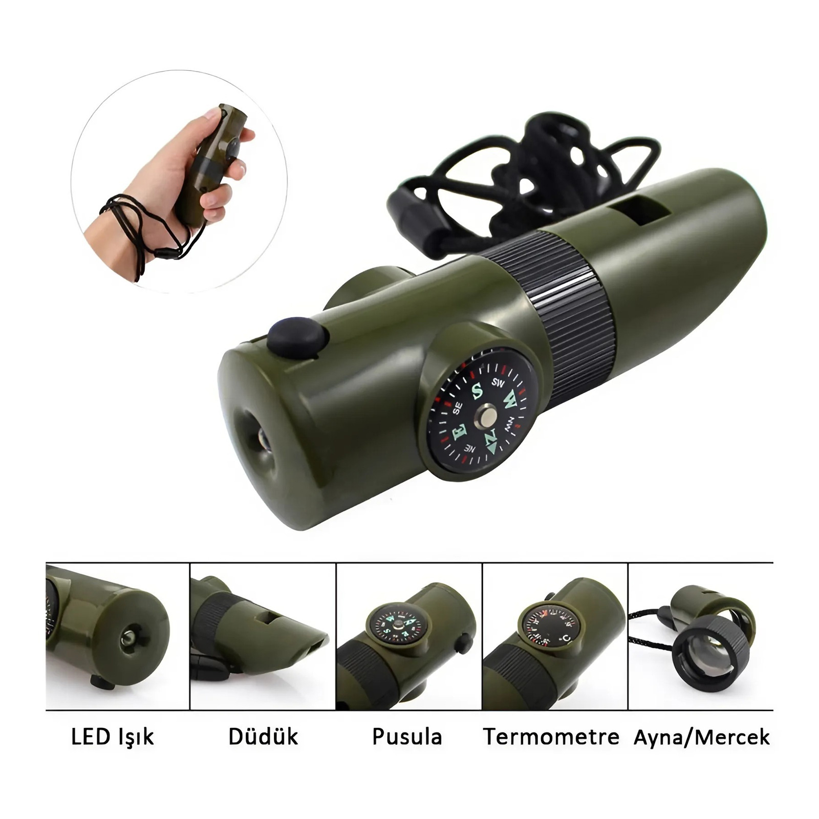 KUZEY YEŞİL PUSULALI DÜDÜK